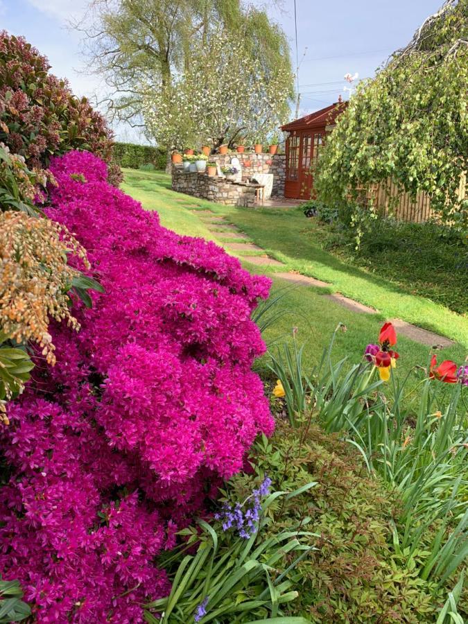 Llanwenarth Cottage A Beautiful Place To Just Be. Abergavenny Kültér fotó