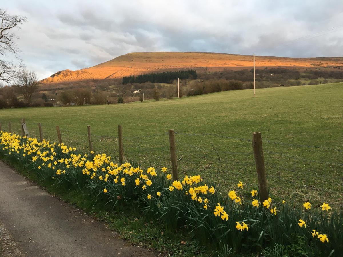 Llanwenarth Cottage A Beautiful Place To Just Be. Abergavenny Kültér fotó