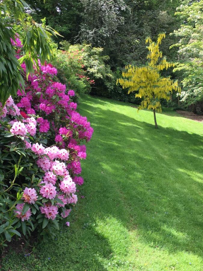 Llanwenarth Cottage A Beautiful Place To Just Be. Abergavenny Kültér fotó