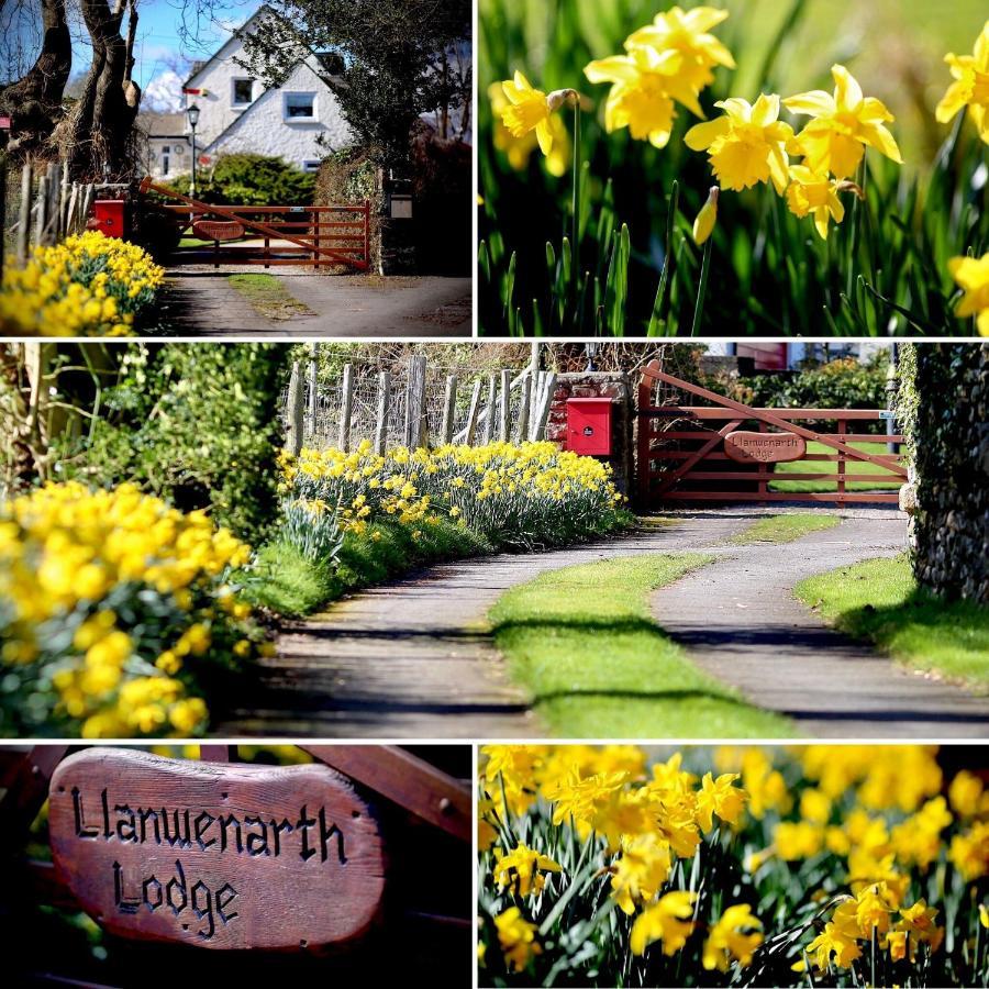Llanwenarth Cottage A Beautiful Place To Just Be. Abergavenny Kültér fotó